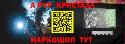 спиды Кингисепп