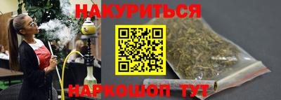спиды Кингисепп