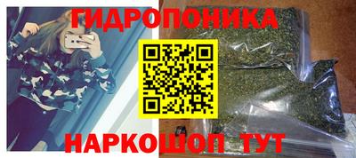 спиды Кингисепп