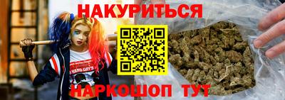 спиды Кингисепп