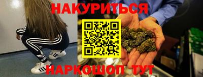 спиды Кингисепп