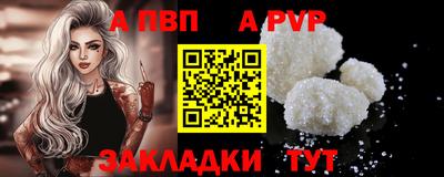 спиды Кингисепп