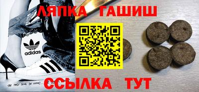 спиды Кингисепп