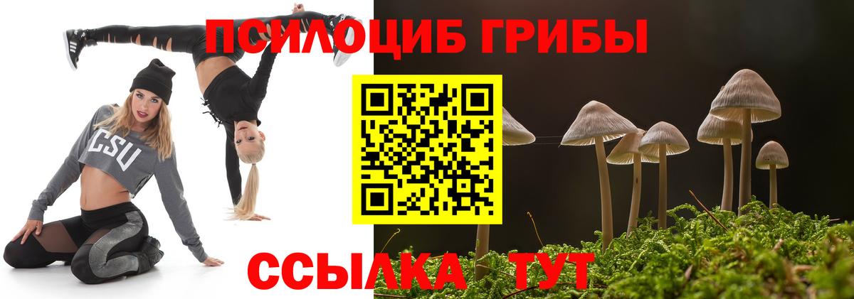 Псилоцибиновые грибы MAGIC MUSHROOMS Лесной