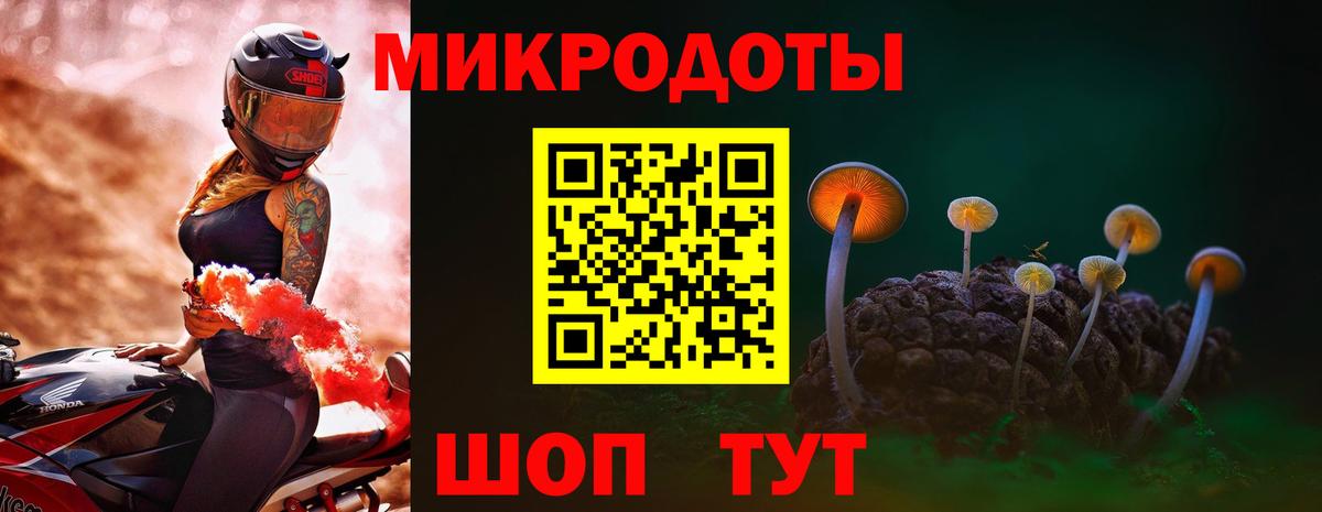 Лесной  Галлюциногенные грибы прущие грибы  купить наркотики цена  Вход с VPN 